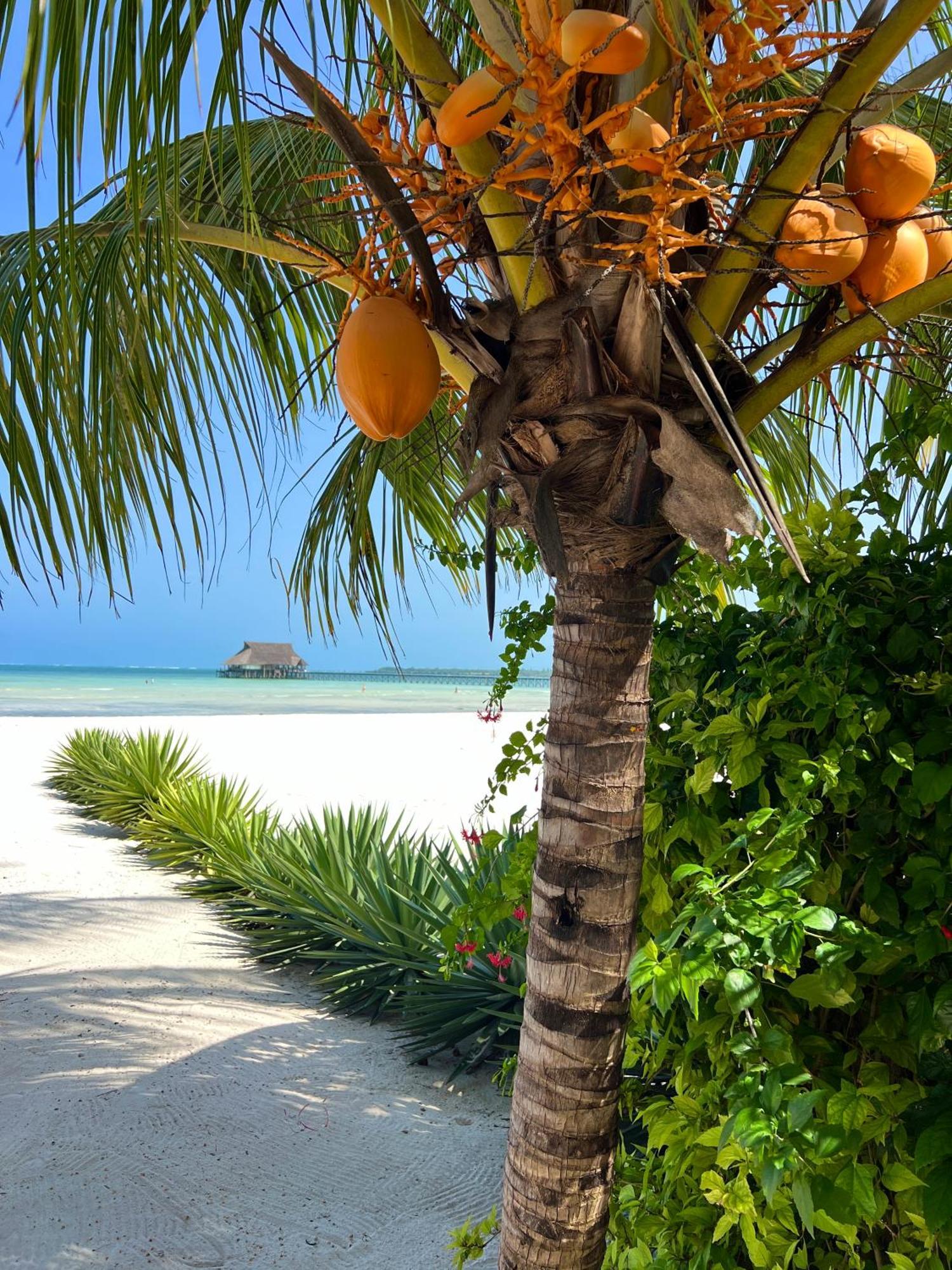 Karibu Beach Resort 蓬圭 外观 照片